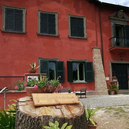 Vigna Dell'Agrifoglio - Bed And Breakfast Velletri Exterior foto
