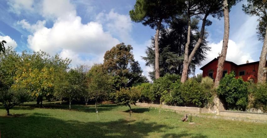 Vigna Dell'Agrifoglio - Bed And Breakfast Velletri Exterior foto
