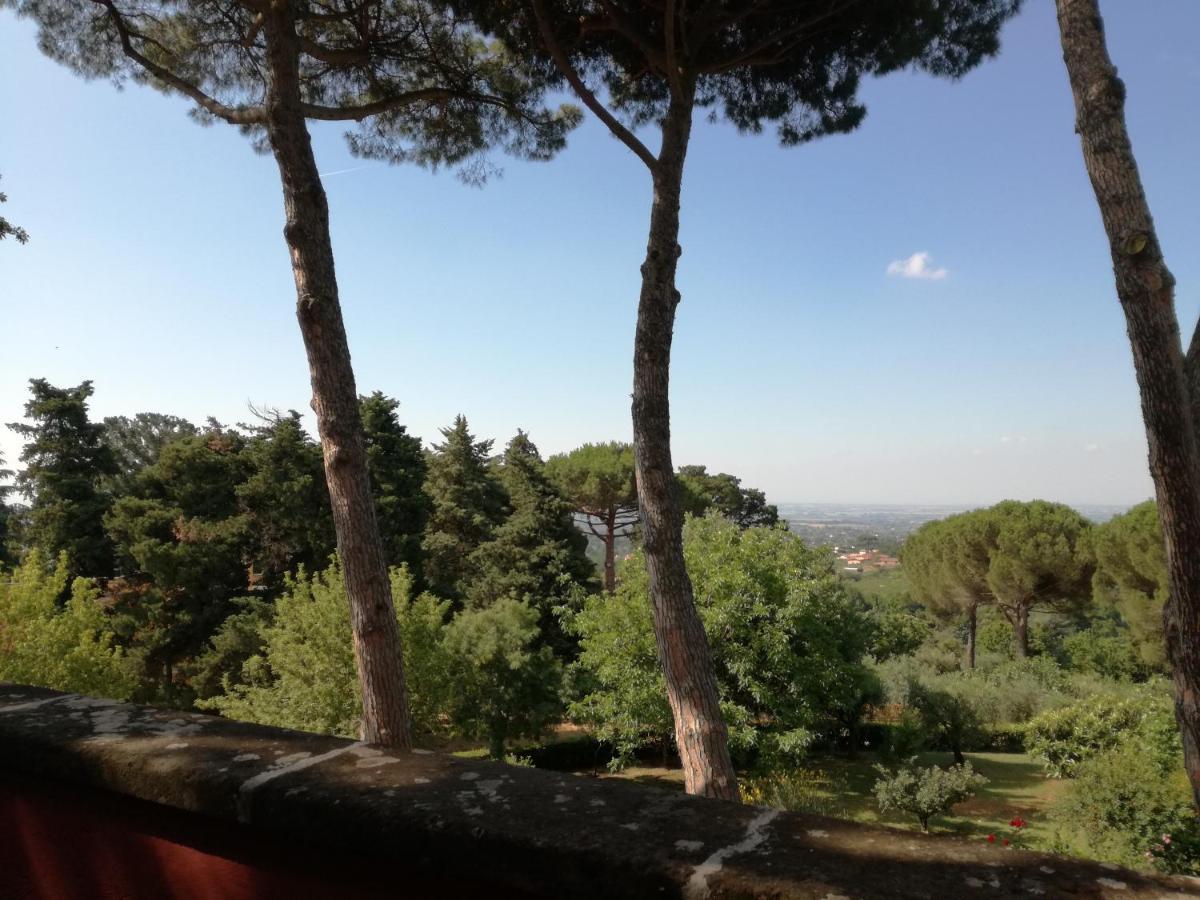 Vigna Dell'Agrifoglio - Bed And Breakfast Velletri Exterior foto