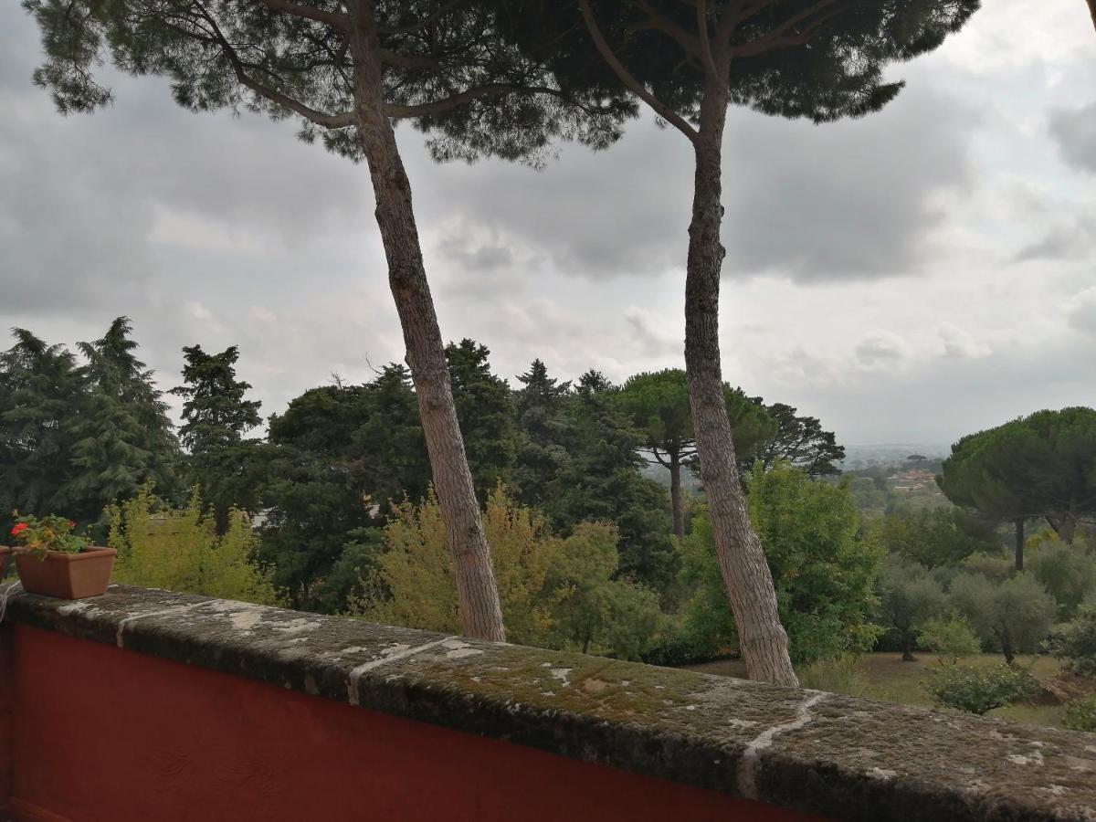 Vigna Dell'Agrifoglio - Bed And Breakfast Velletri Exterior foto
