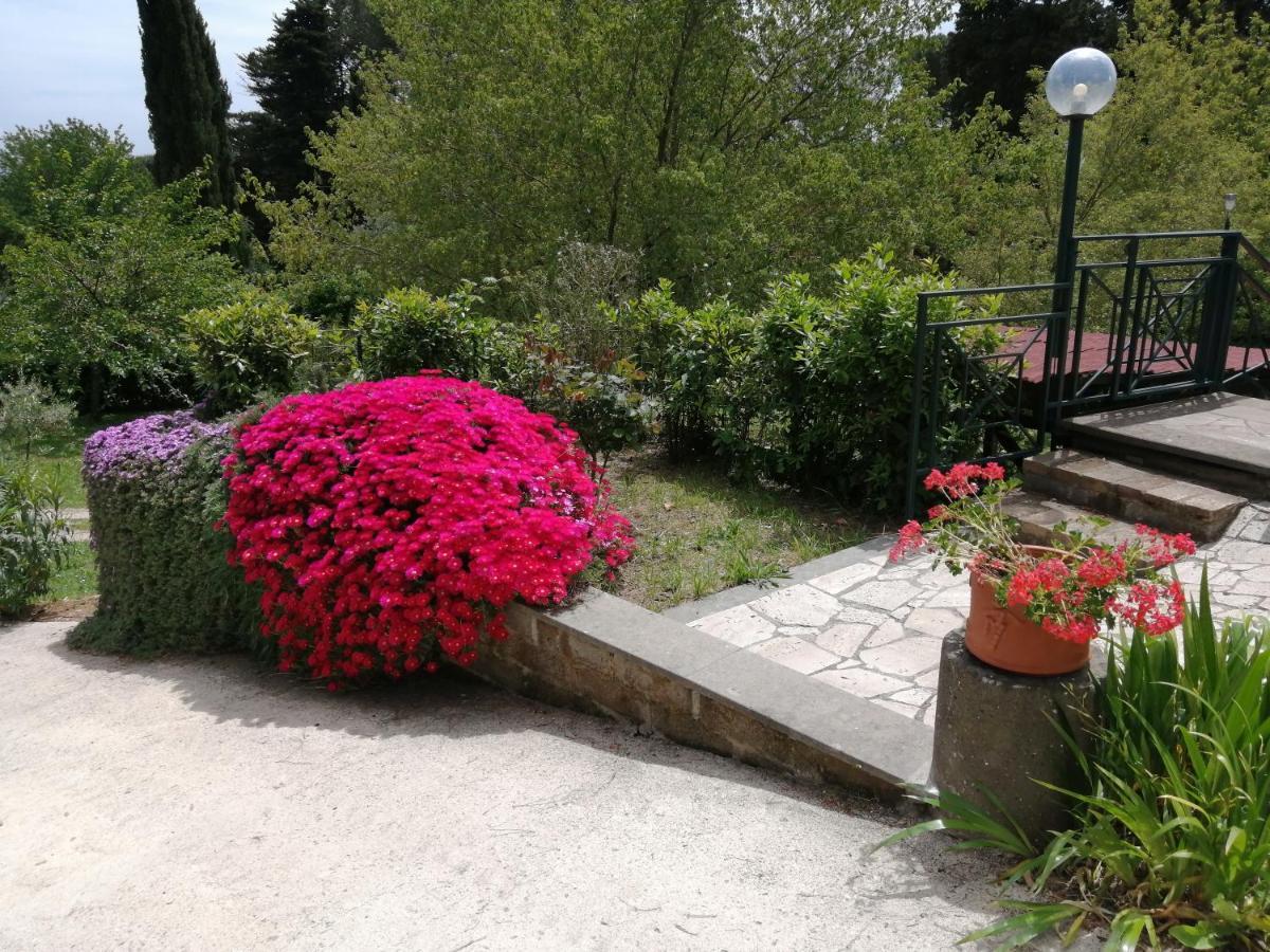 Vigna Dell'Agrifoglio - Bed And Breakfast Velletri Exterior foto